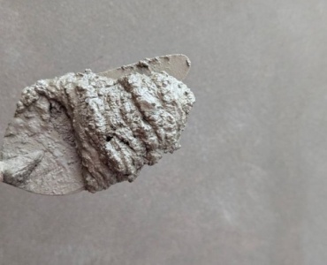 Jaki cement wybrać? Praktyczny przewodnik, który ułatwi Ci decyzję